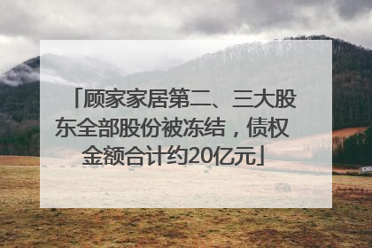 顾家家居第二、三大股东全部股份被冻结，债权金额合计约20亿元