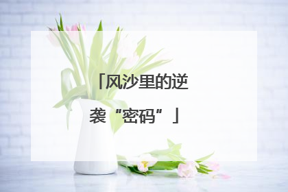 风沙里的逆袭“密码”