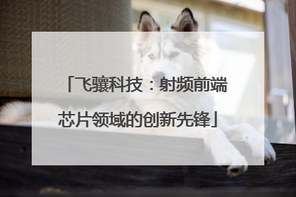 飞骧科技：射频前端芯片领域的创新先锋
