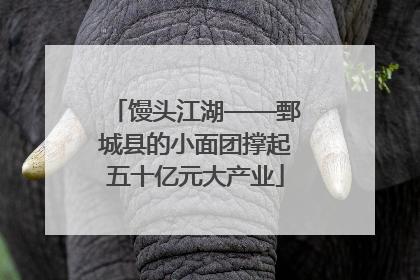 馒头江湖——鄄城县的小面团撑起五十亿元大产业