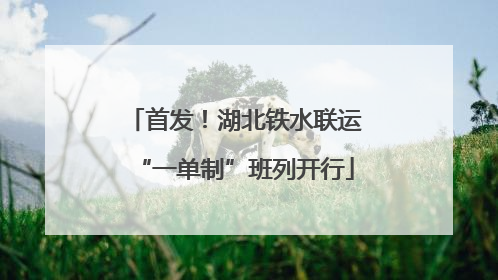 首发！湖北铁水联运“一单制”班列开行
