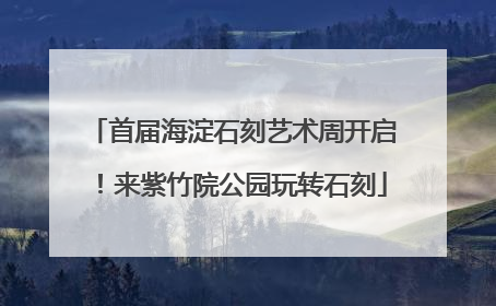 首届海淀石刻艺术周开启！来紫竹院公园玩转石刻