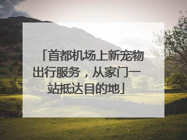 首都机场上新宠物出行服务，从家门一站抵达目的地