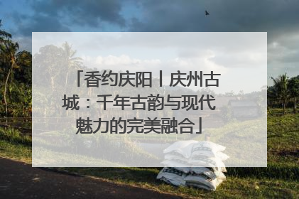 香约庆阳丨庆州古城：千年古韵与现代魅力的完美融合