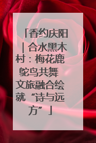 香约庆阳｜合水黑木村：梅花鹿鸵鸟共舞 文旅融合绘就“诗与远方”