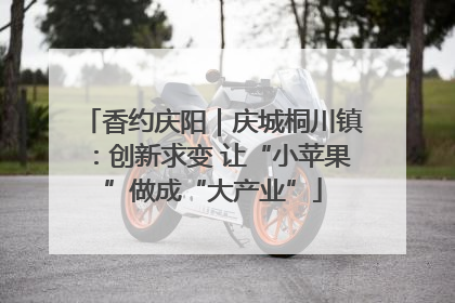 香约庆阳｜庆城桐川镇：创新求变 让“小苹果”做成“大产业”