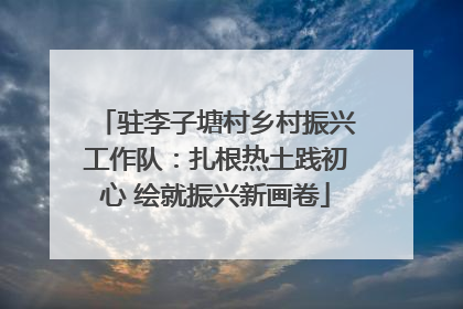 驻李子塘村乡村振兴工作队：扎根热土践初心 绘就振兴新画卷
