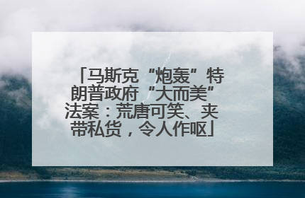 马斯克“炮轰”特朗普政府“大而美”法案：荒唐可笑、夹带私货，令人作呕