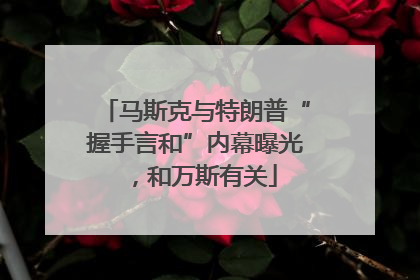 马斯克与特朗普“握手言和”内幕曝光，和万斯有关