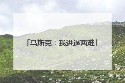 马斯克：我进退两难