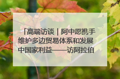 高端访谈｜阿中愿携手维护多边贸易体系和发展中国家利益——访阿拉伯议会议长亚马希