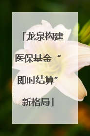 龙泉构建医保基金“即时结算”新格局