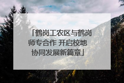 鹤岗工农区与鹤岗师专合作 开启校地协同发展新篇章