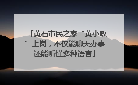 黄石市民之家“黄小政”上岗，不仅能聊天办事还能听懂多种语言