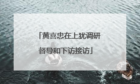 黄喜忠在上犹调研督导和下访接访