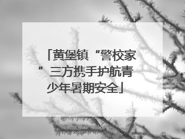 黄堡镇“警校家”三方携手护航青少年暑期安全