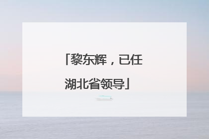 黎东辉，已任湖北省领导