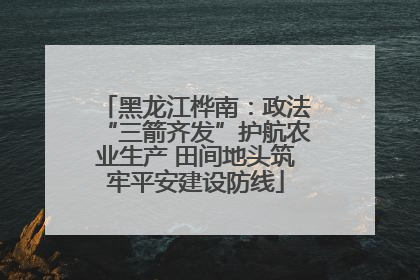 黑龙江桦南：政法“三箭齐发”护航农业生产 田间地头筑牢平安建设防线