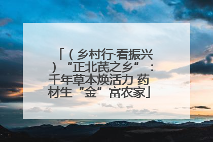 （乡村行·看振兴）“正北芪之乡”：千年草本焕活力 药材生“金”富农家