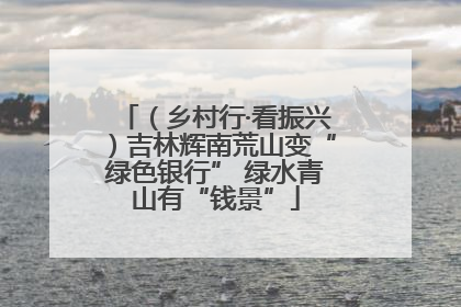（乡村行·看振兴）吉林辉南荒山变“绿色银行” 绿水青山有“钱景”