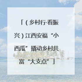 （乡村行·看振兴）江西安福“小西瓜”撬动乡村共富“大支点”