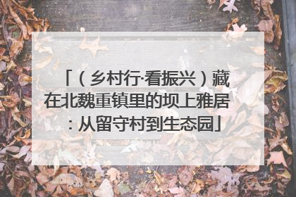 （乡村行·看振兴）藏在北魏重镇里的坝上雅居：从留守村到生态园