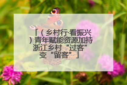 （乡村行·看振兴）青年赋能资源加持 浙江乡村“过客”变“留客”