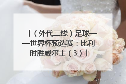 （外代二线）足球——世界杯预选赛：比利时胜威尔士（3）