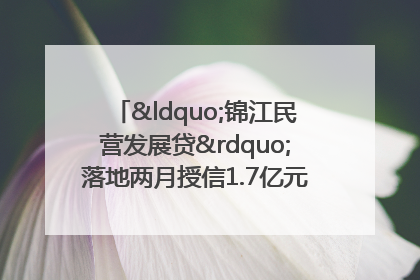 “锦江民营发展贷”落地两月授信1.7亿元，惠及118家民企