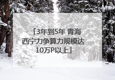 3年到5年 青海西宁力争算力规模达10万P以上