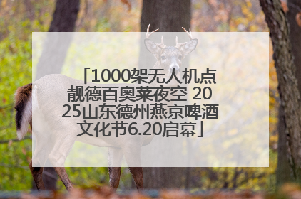 1000架无人机点靓德百奥莱夜空 2025山东德州燕京啤酒文化节6.20启幕