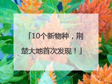 10个新物种，荆楚大地首次发现！