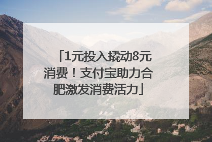 1元投入撬动8元消费！支付宝助力合肥激发消费活力