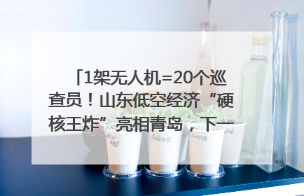 1架无人机=20个巡查员！山东低空经济“硬核王炸”亮相青岛，下一个万亿赛道藏在这里