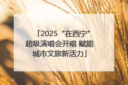 2025“在西宁”超级演唱会开唱 赋能城市文旅新活力