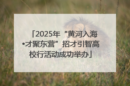 2025年“黄河入海•才聚东营”招才引智高校行活动成功举办