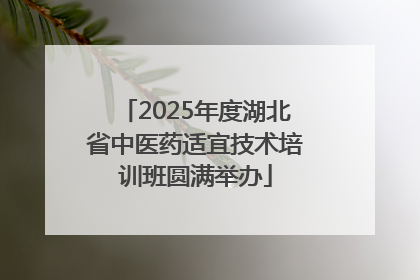 2025年度湖北省中医药适宜技术培训班圆满举办