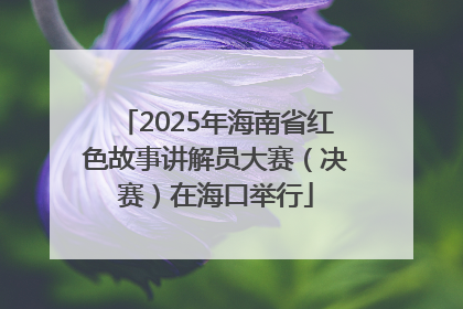 2025年海南省红色故事讲解员大赛（决赛）在海口举行