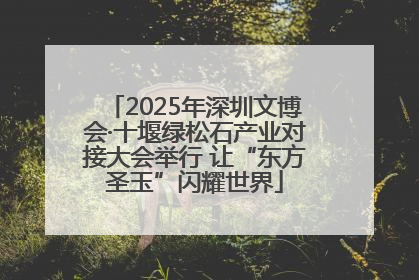 2025年深圳文博会·十堰绿松石产业对接大会举行 让“东方圣玉”闪耀世界