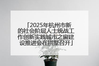2025年杭州市新的社会阶层人士统战工作创新实践城市之窗建设推进会在拱墅召开