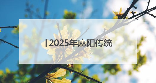 2025年麻阳传统龙舟赛圆满落下帷幕，五大赛区冠军诞生
