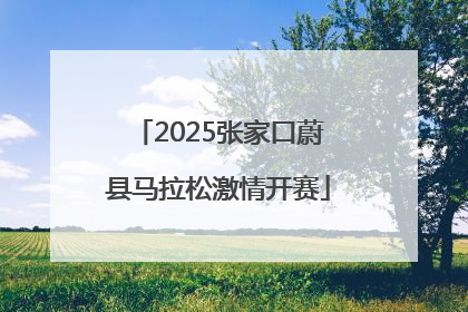 2025张家口蔚县马拉松激情开赛