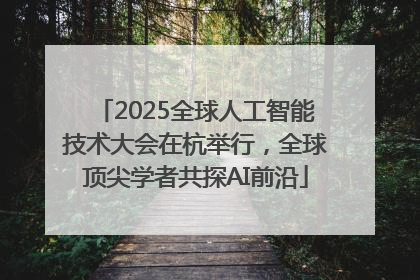 2025全球人工智能技术大会在杭举行，全球顶尖学者共探AI前沿