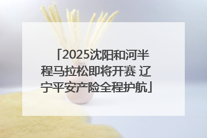 2025沈阳和河半程马拉松即将开赛 辽宁平安产险全程护航