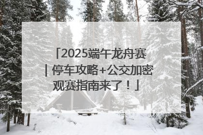 2025端午龙舟赛｜停车攻略+公交加密 观赛指南来了！