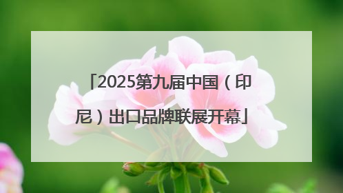 2025第九届中国（印尼）出口品牌联展开幕