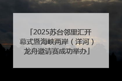 2025苏台邻里汇开幕式暨海峡两岸（洋河）龙舟邀请赛成功举办