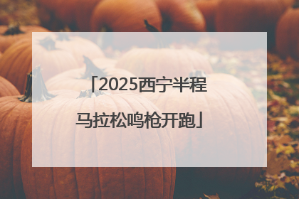 2025西宁半程马拉松鸣枪开跑