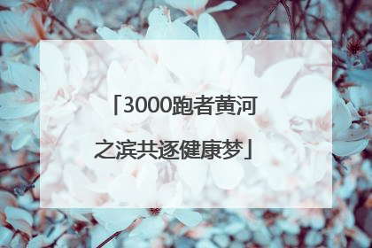 3000跑者黄河之滨共逐健康梦