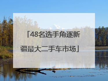 48名选手角逐新疆最大二手车市场